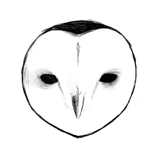 Owl Nest